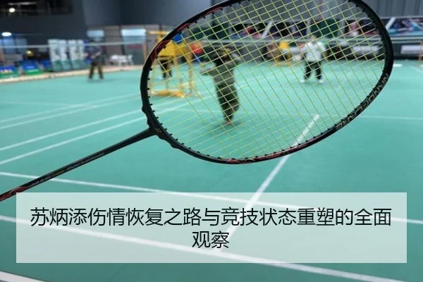苏炳添伤情恢复之路与竞技状态重塑的全面观察