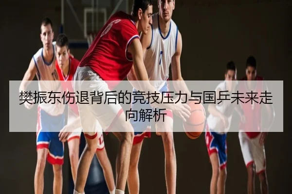 樊振东伤退背后的竞技压力与国乒未来走向解析