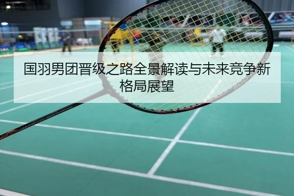 国羽男团晋级之路全景解读与未来竞争新格局展望